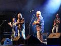 20110703-2100 HPGrB_Treacherous Orchestra_D-F7120-IMGB8399-5a